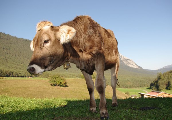 Tirol
